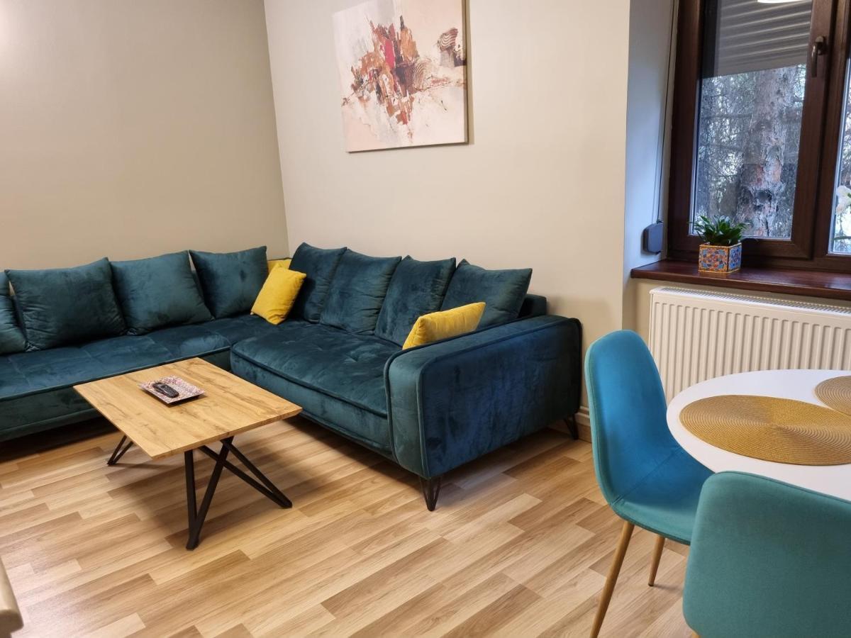 City Inn Premium Apartment Тимишоара Экстерьер фото